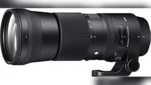 best sigma lens for nikon