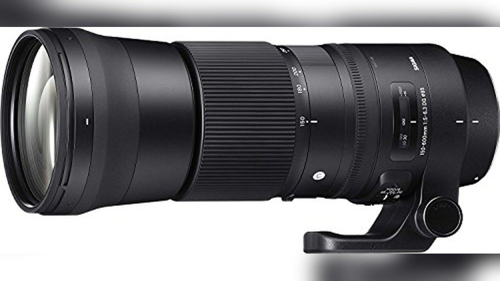 best sigma lens for nikon