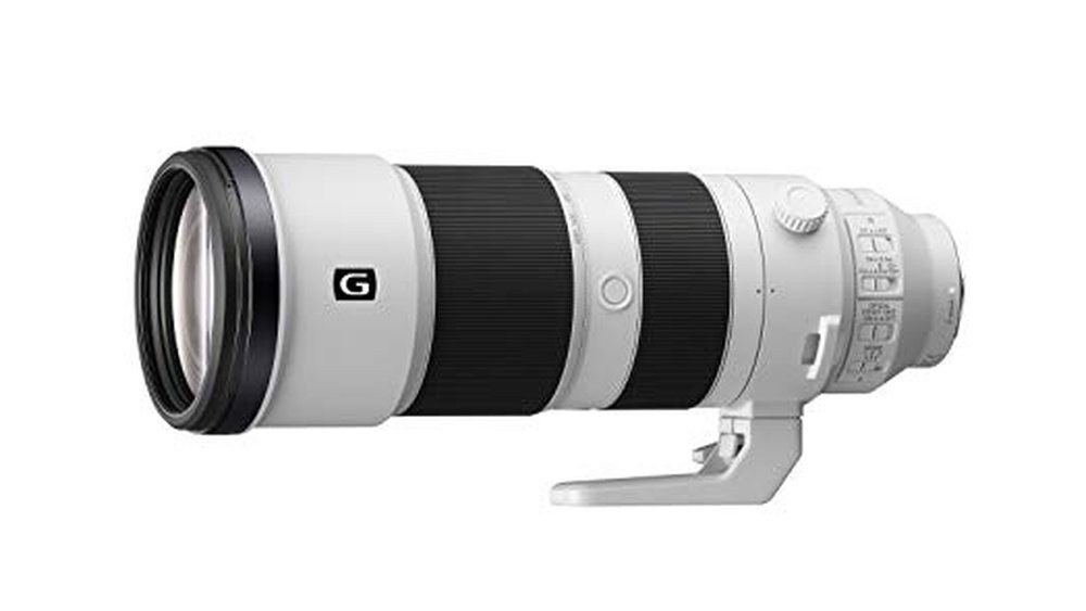 best sony telephoto lens for wildlife photography