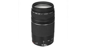 best telephoto lens for canon 5d mark iv
