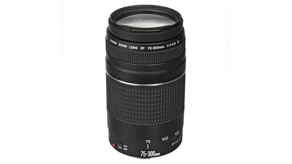best telephoto lens for canon 5d mark iv