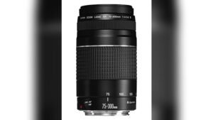 best zoom lens for canon m50 mark ii