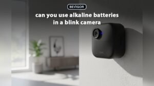 can i use alkaline batteries in my blink camera