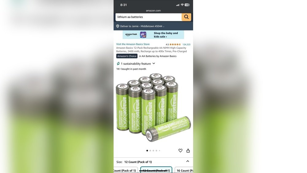 can you use rechargeable batteries in blink cameras