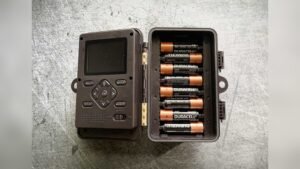 how long do trail camera batteries last