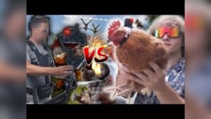 camera stabilizer vs chicken