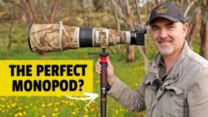 how to use a monopod for bird photography