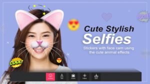 how to use camera filters on pc