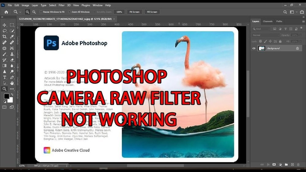 why is camera raw filter not working in photoshop